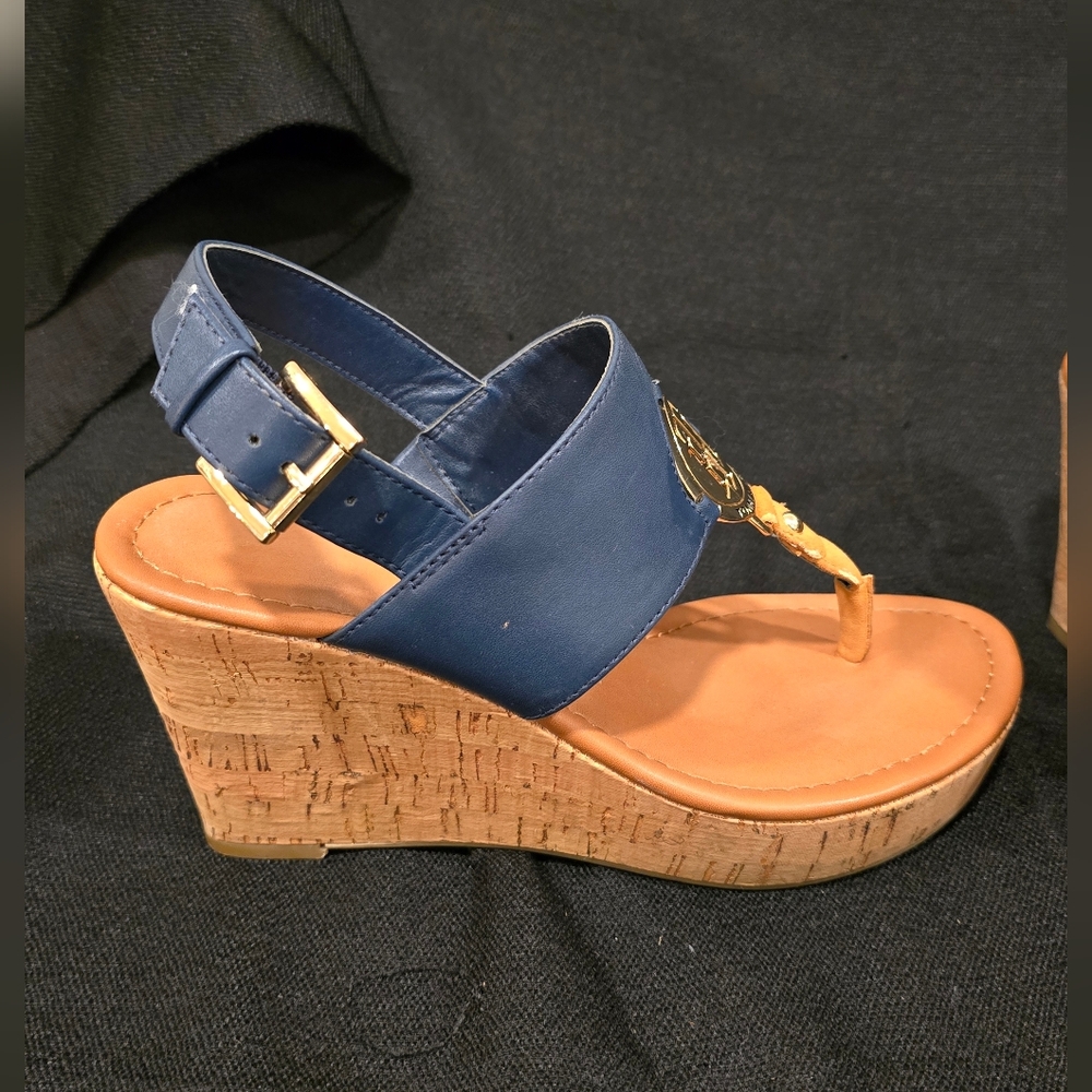 Tommy Hifiger Blue & Gold Wedge Sandals, Size 6.5 - Like New!